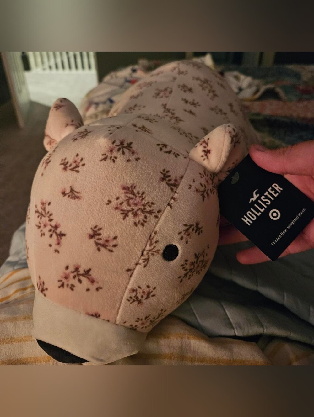 RARE BRAND NEW hollister X target weighted stuff animal